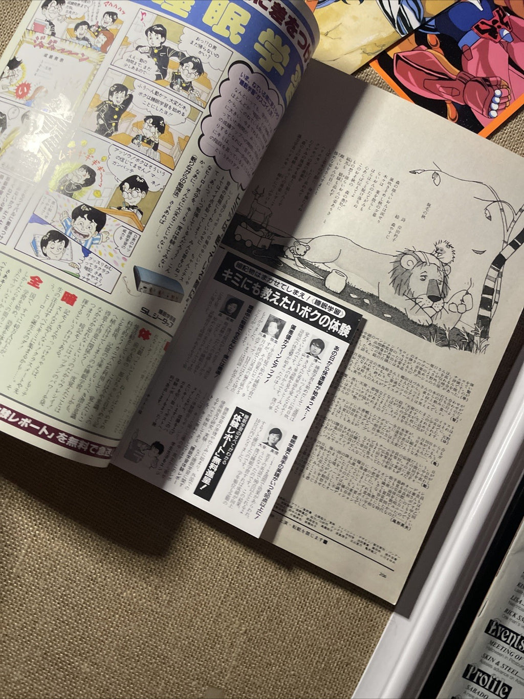 Image #16
