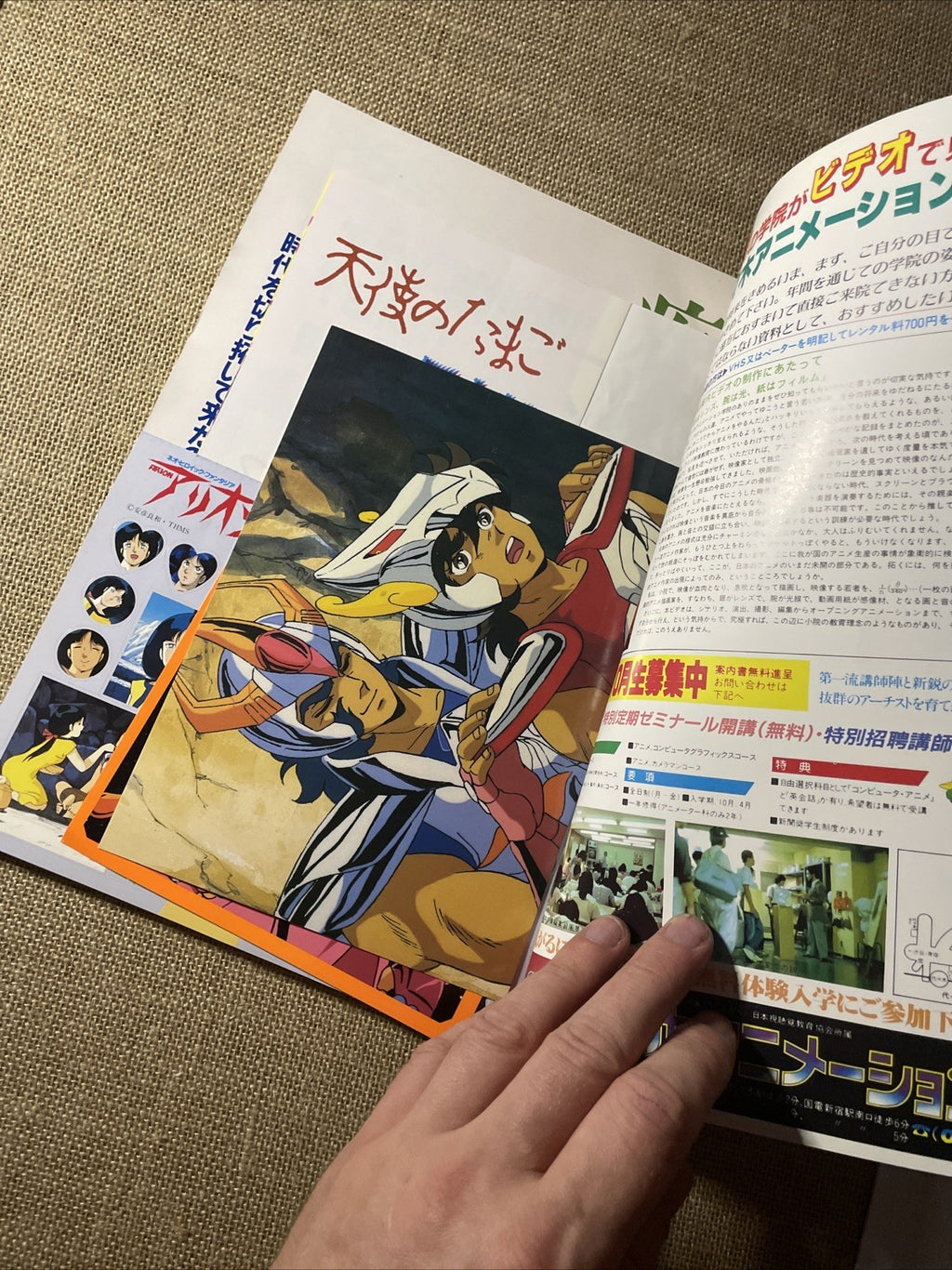 Image #3