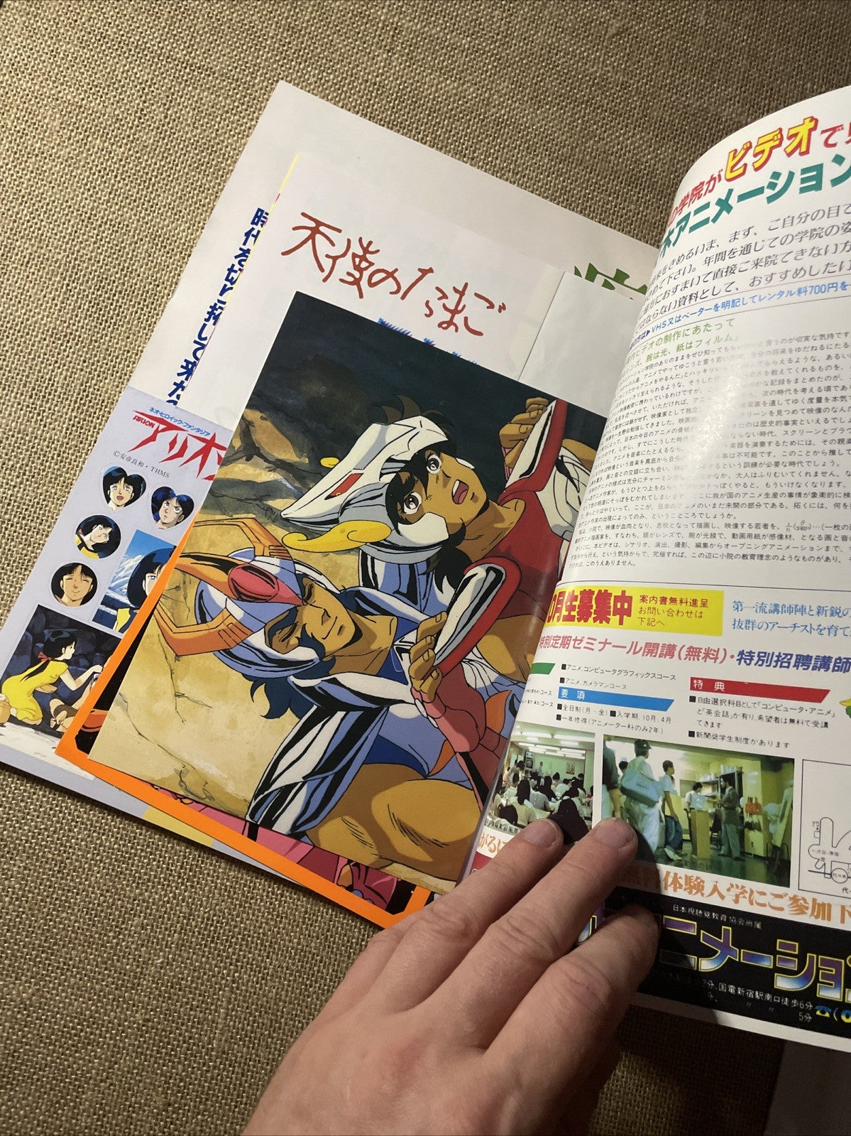 Image #3