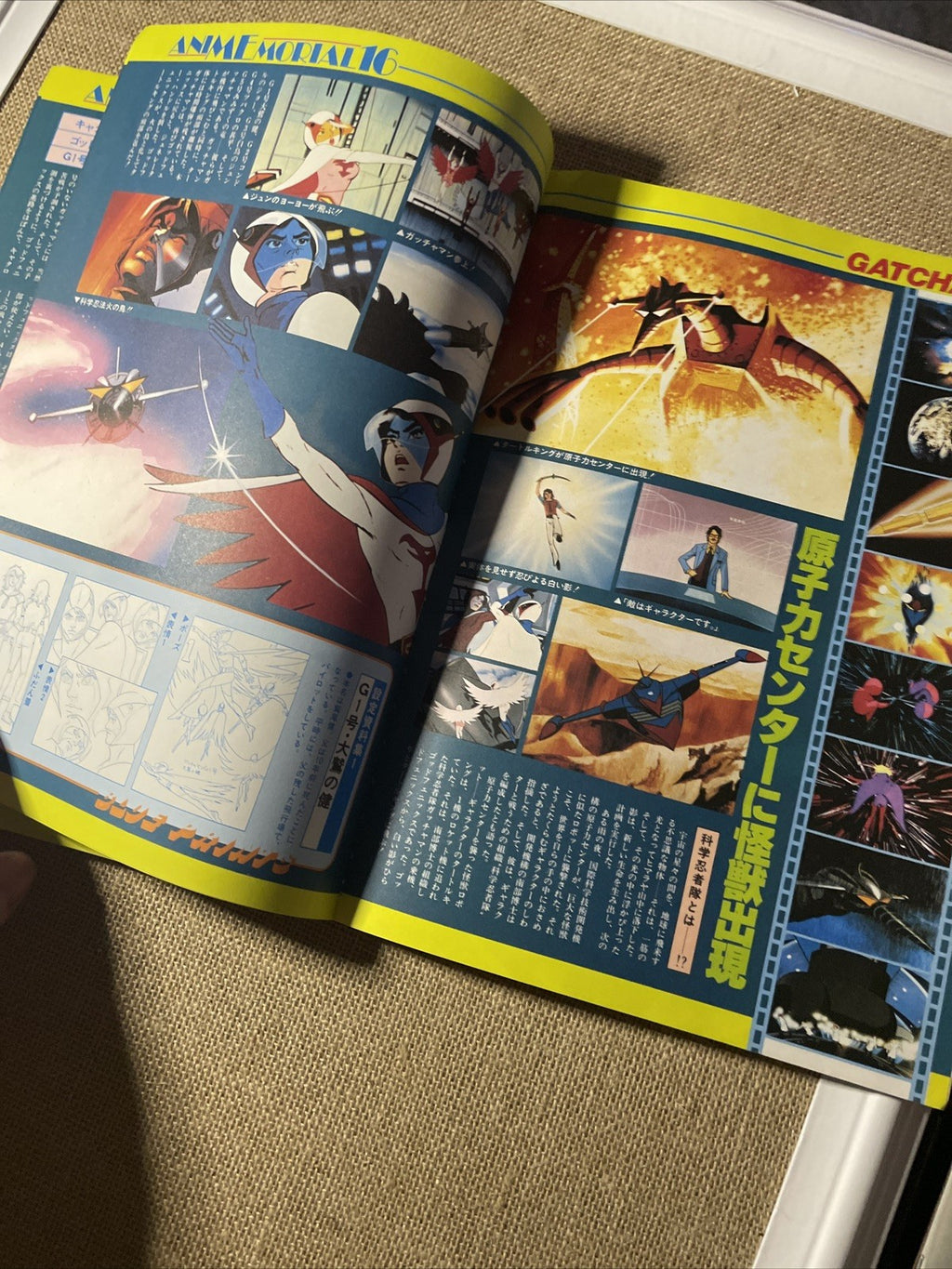 Image #12