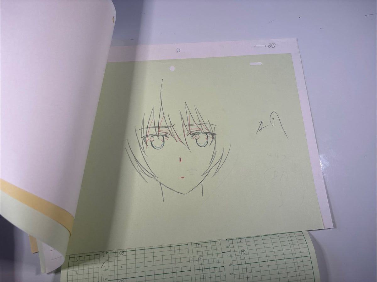 Image #5