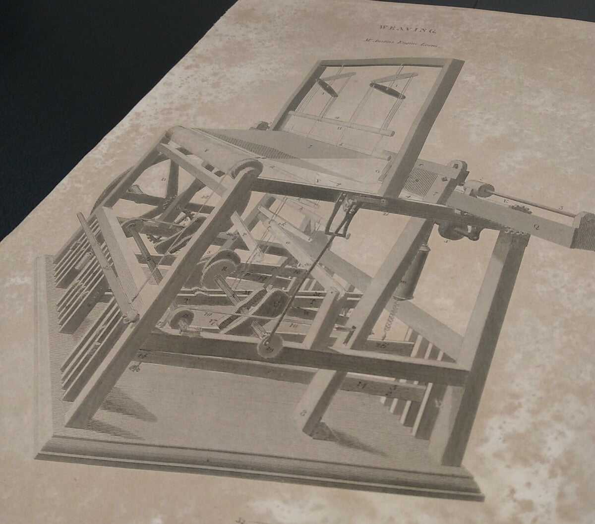 Image #6