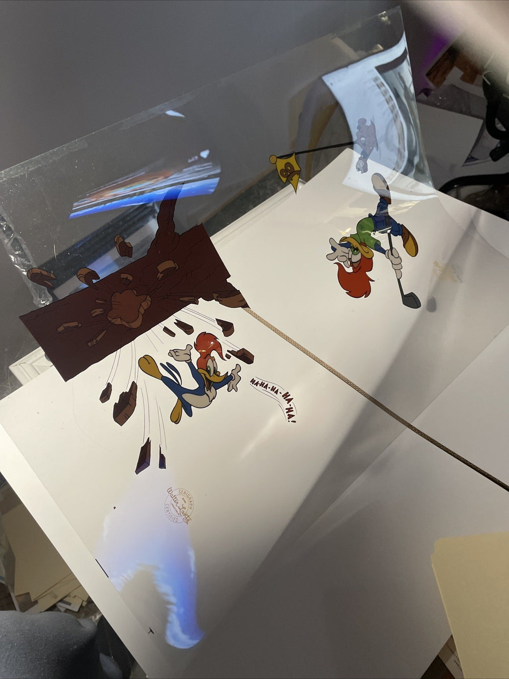 Image #2