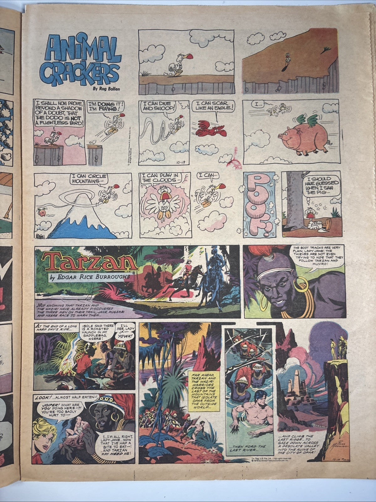 Image #12