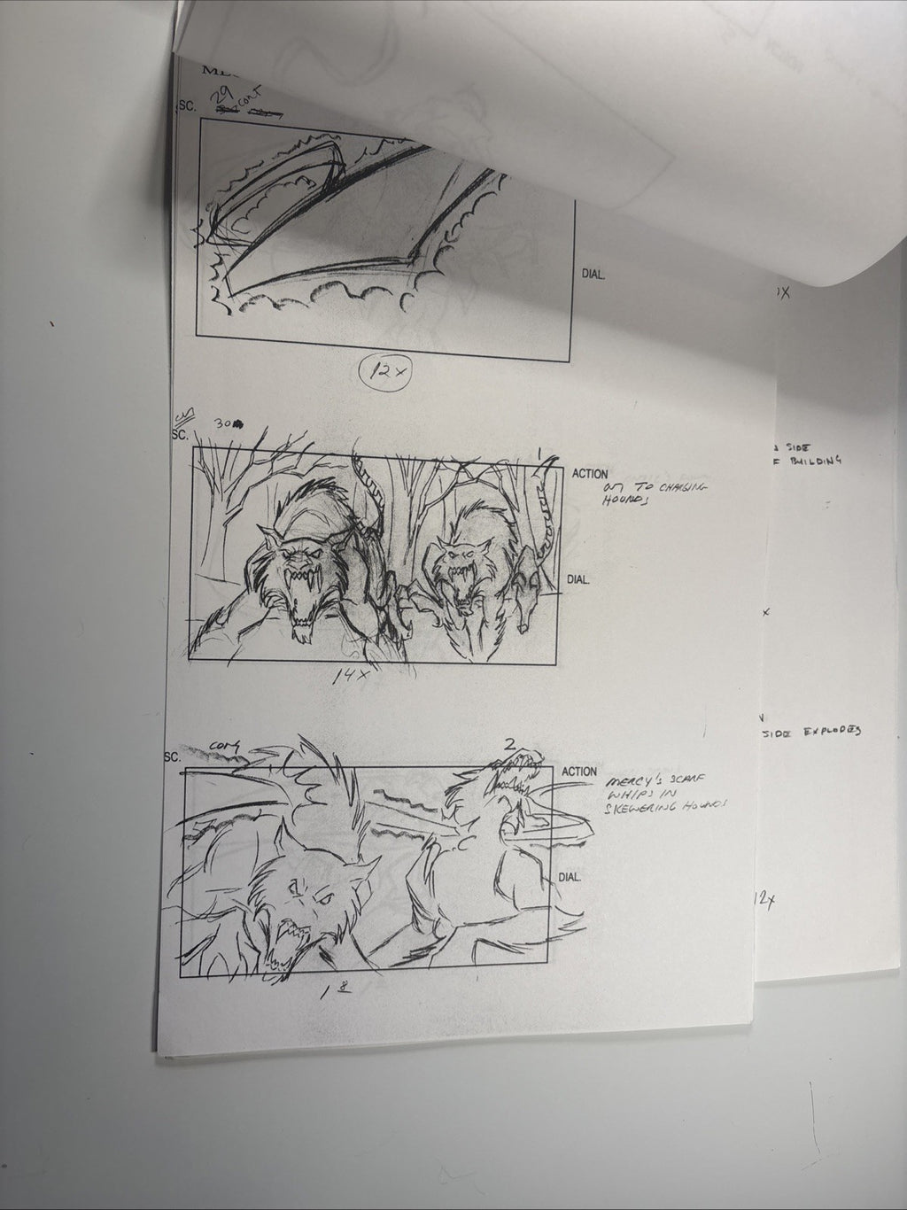 Image #24