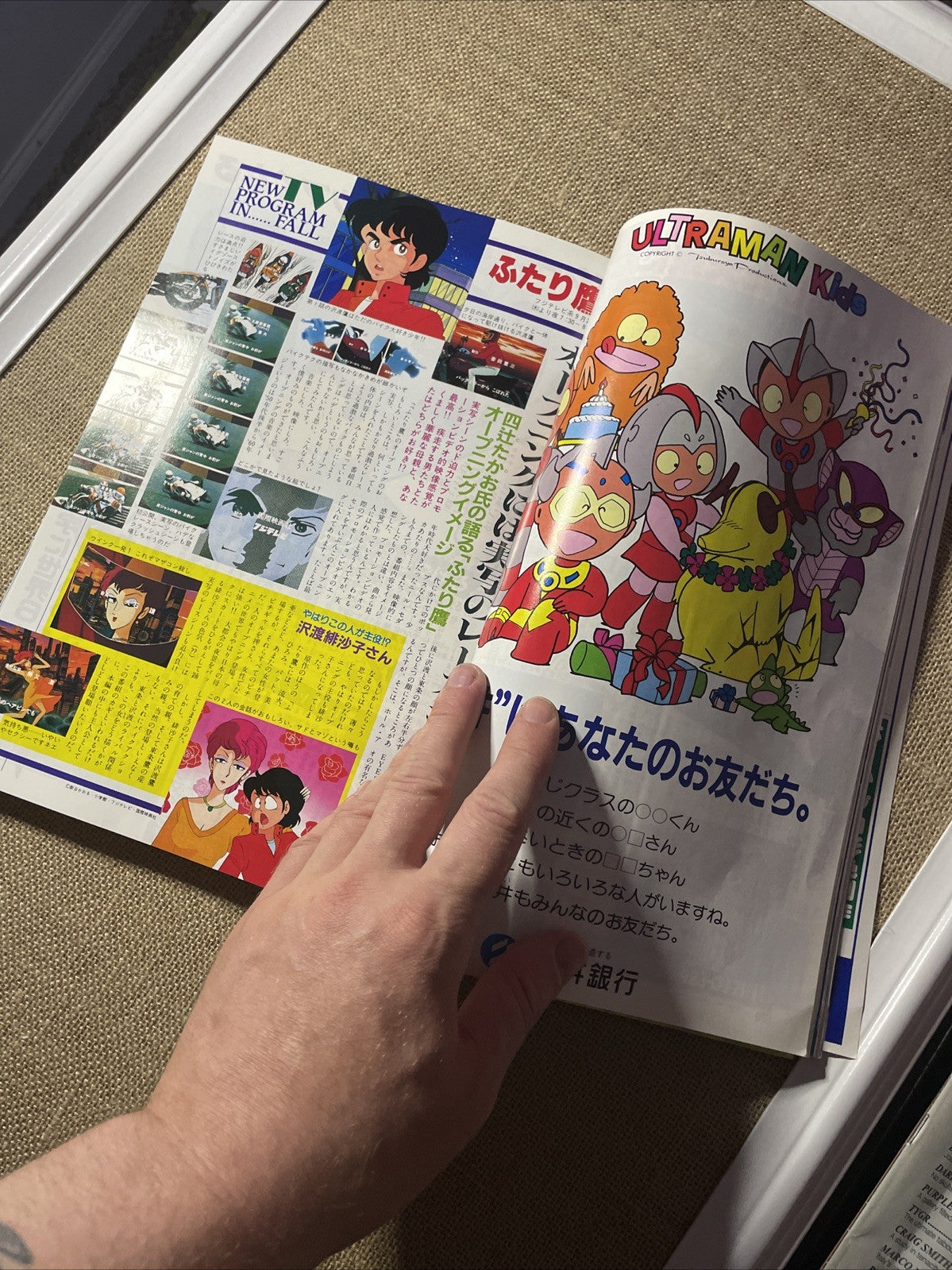 Image #12
