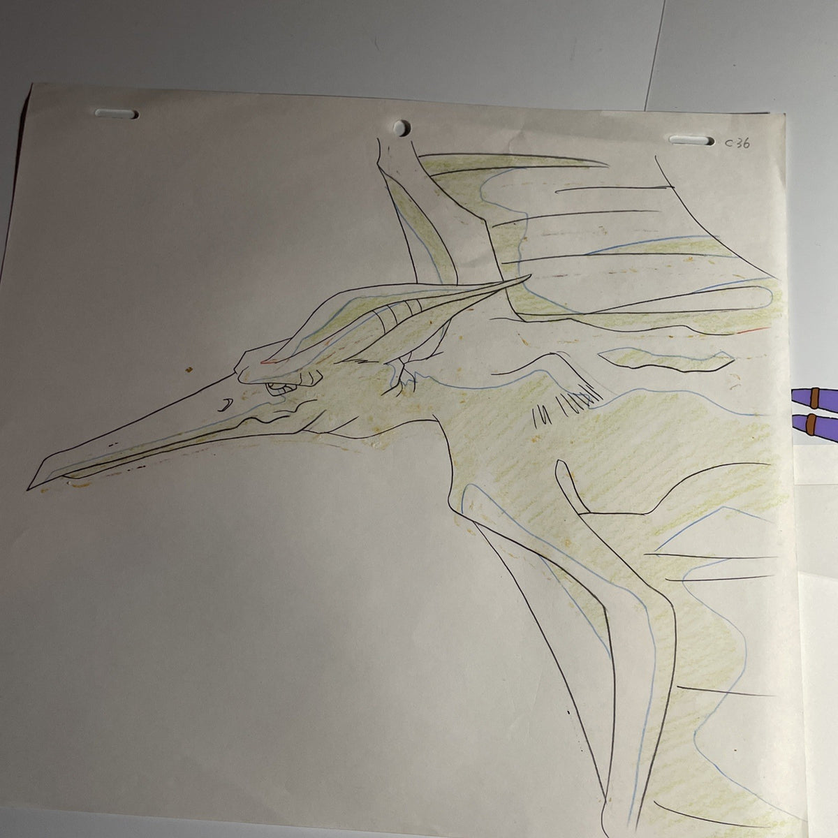Image #5