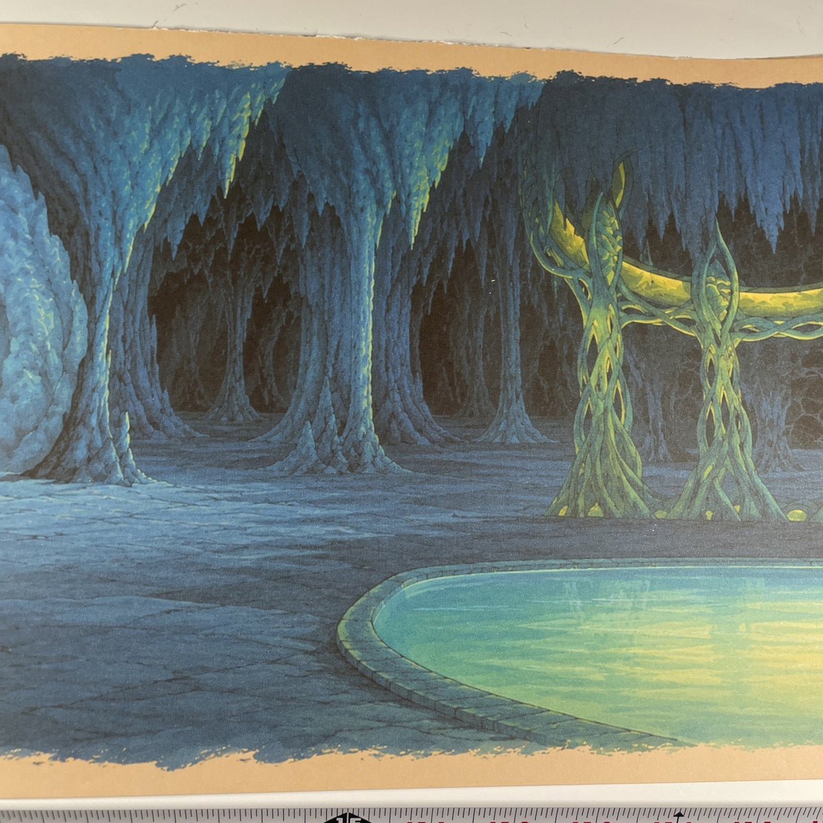 Image #3