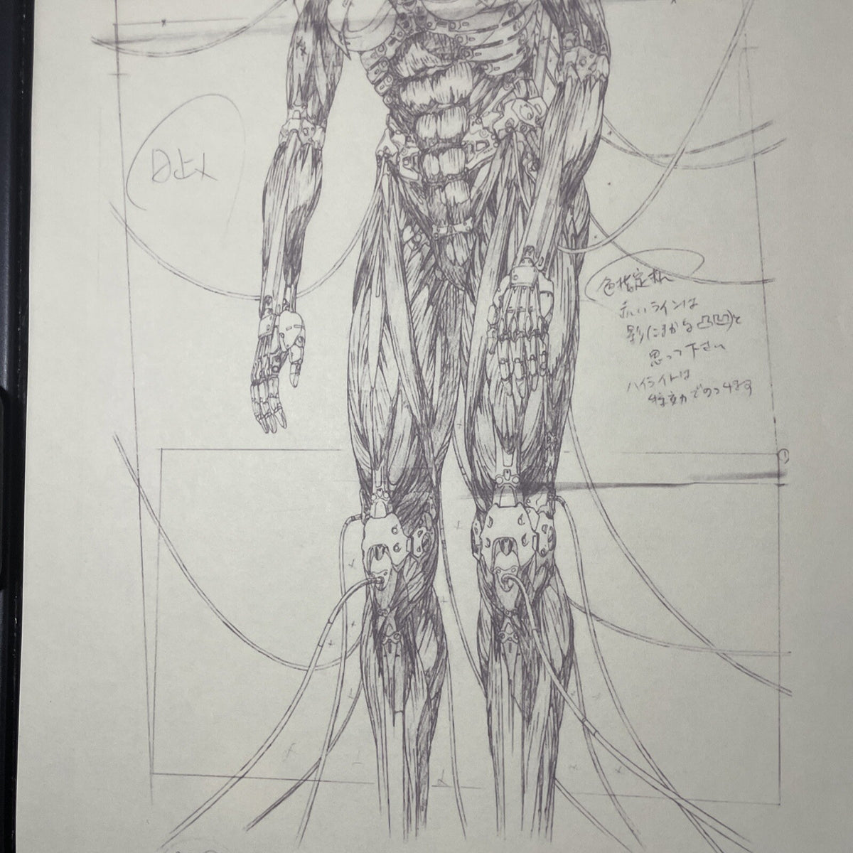 Image #3