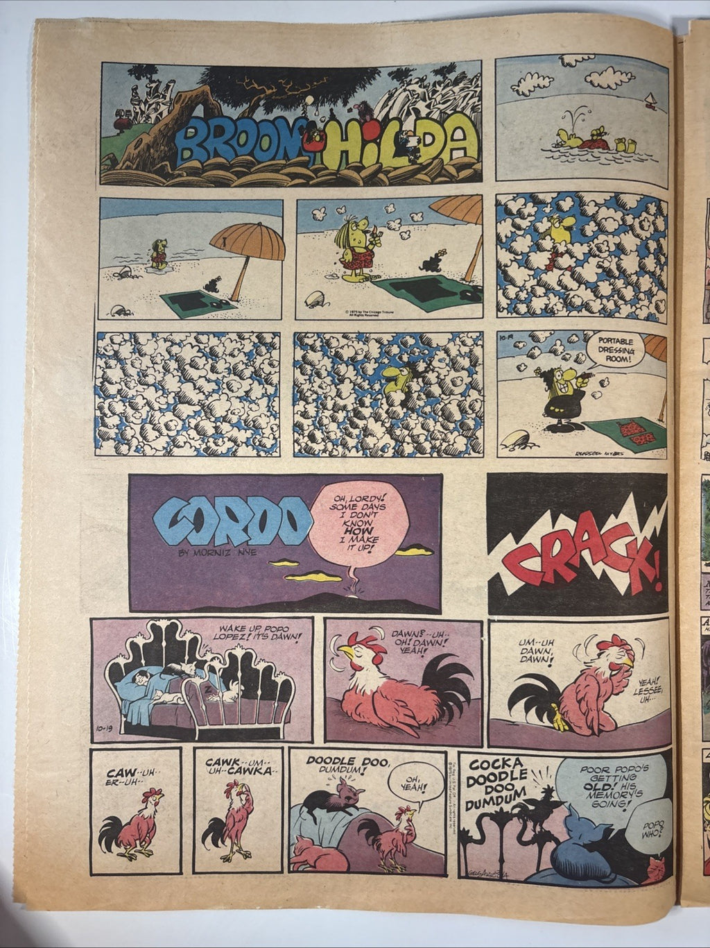 Image #11