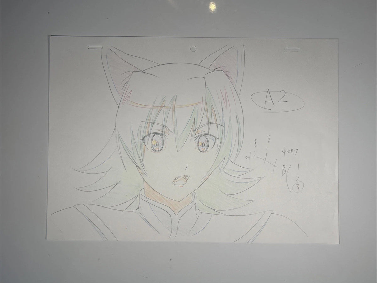 Image #2