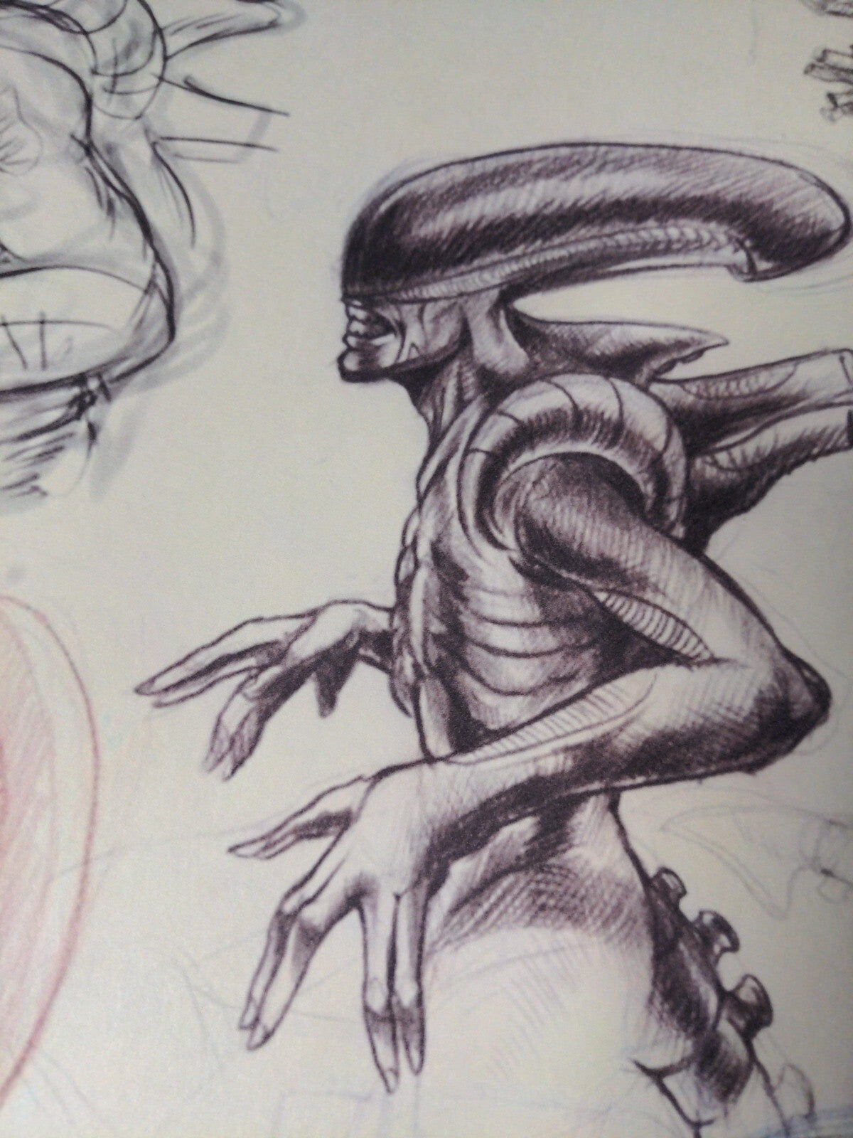 Image #3