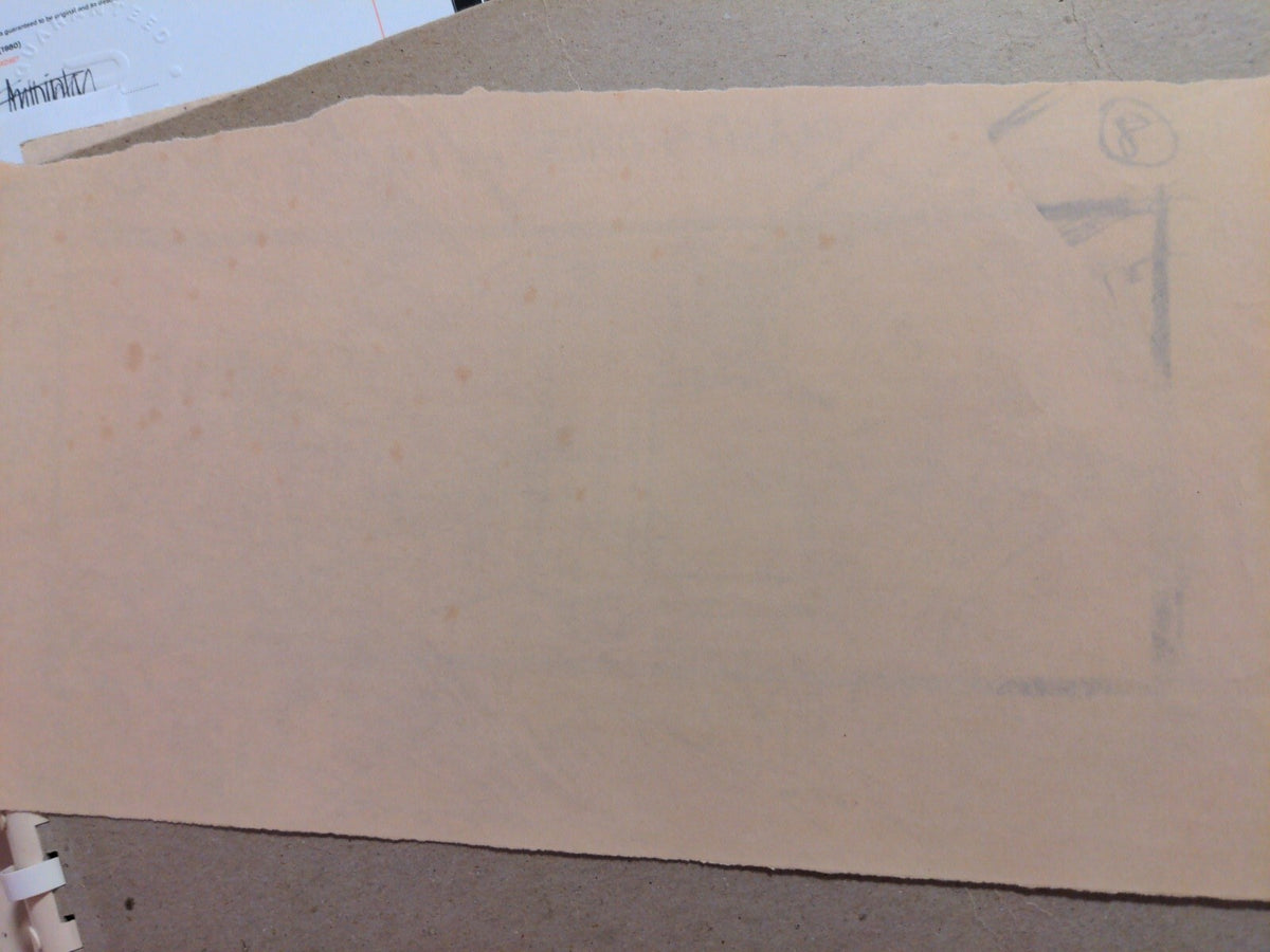 Image #12