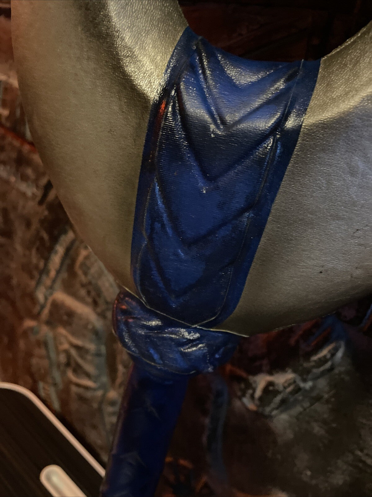 Image #10