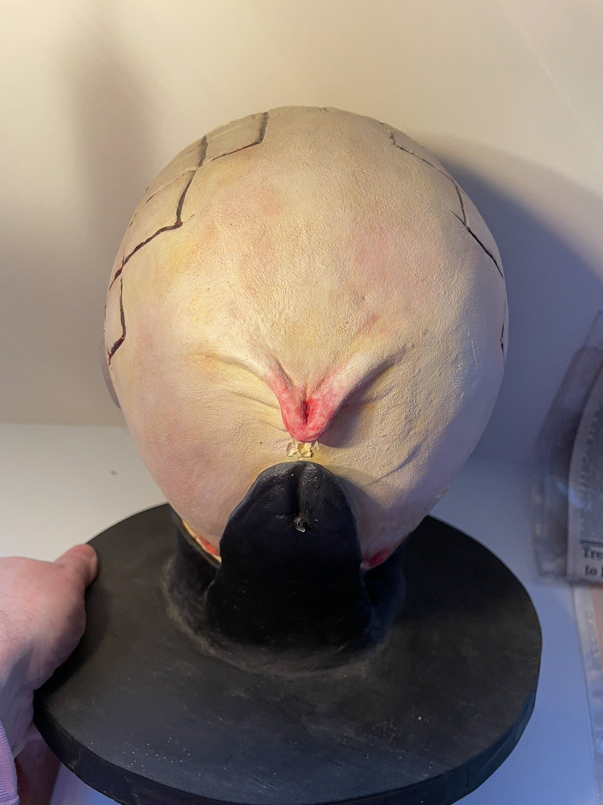 Image #6
