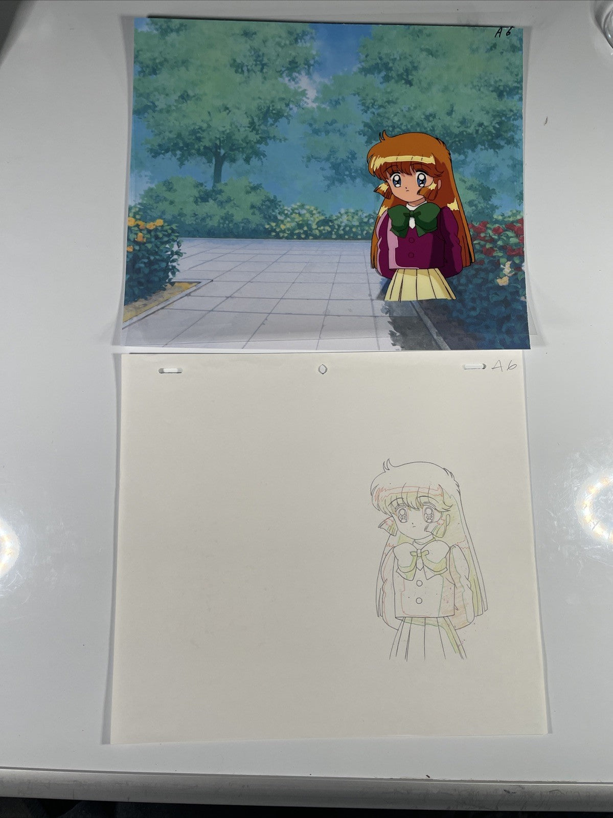 Image #5