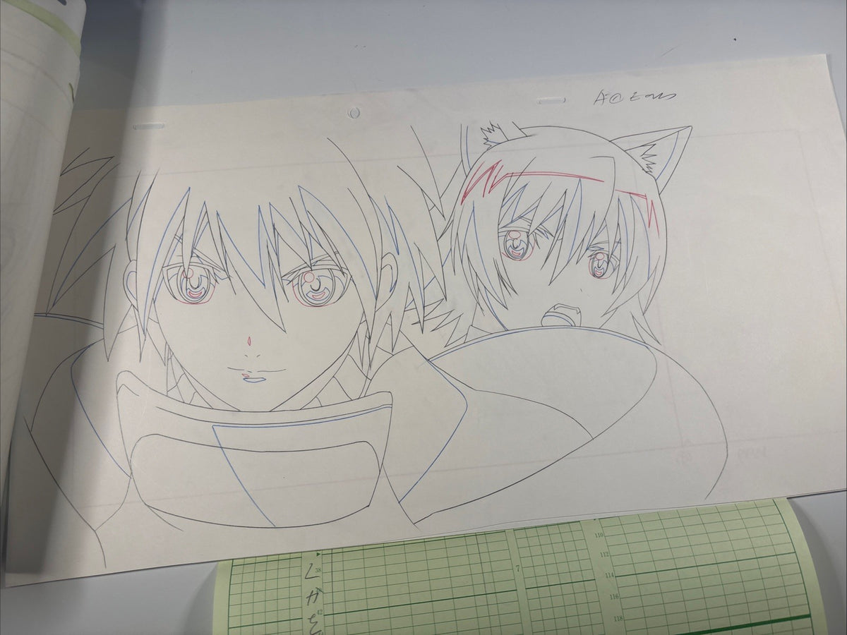 Image #5