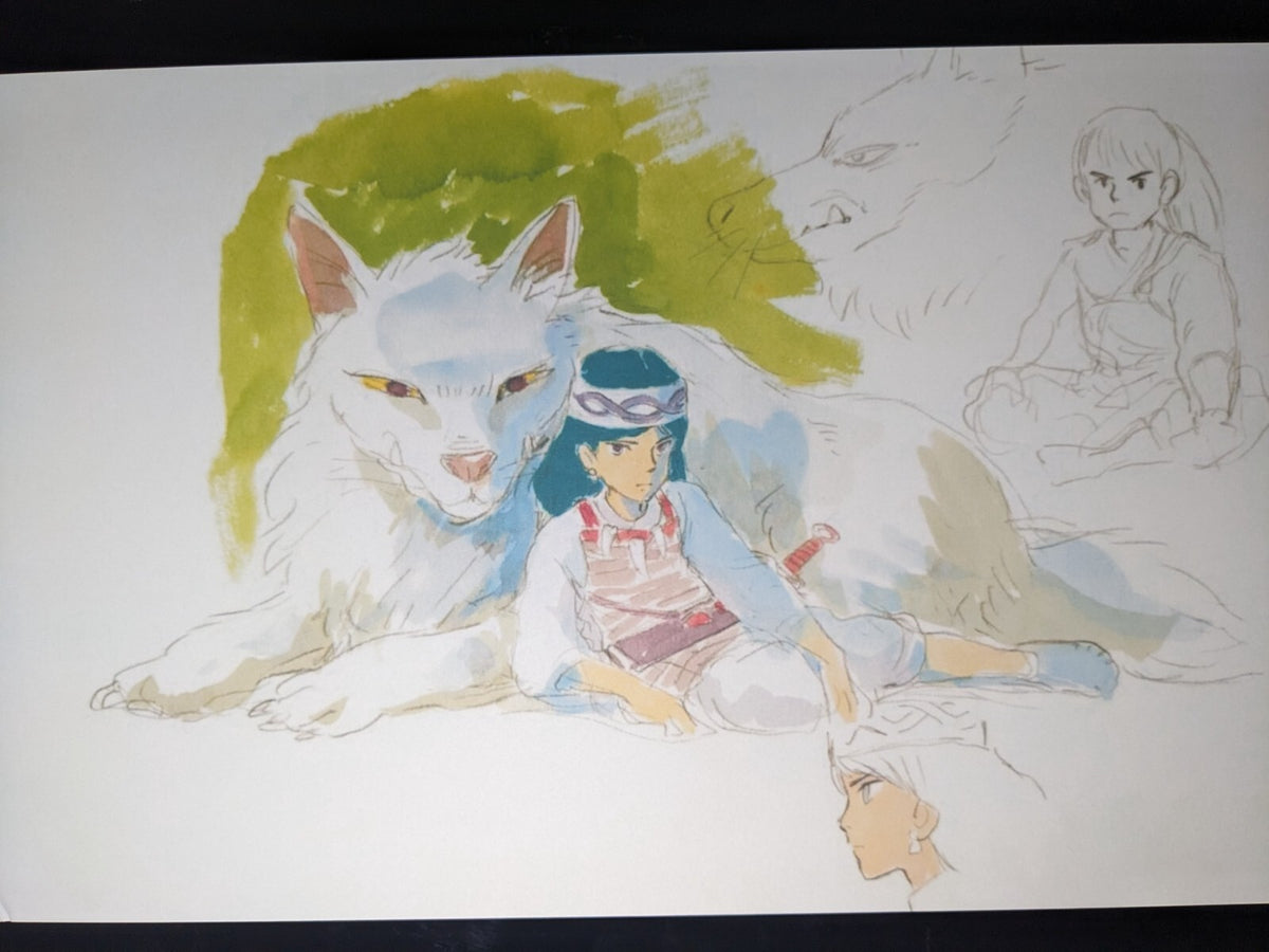 Image #2